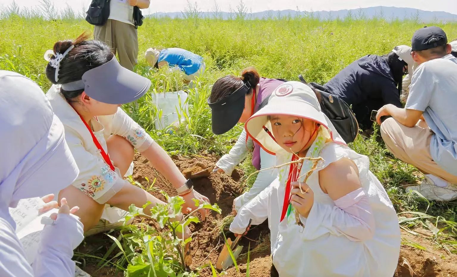 深度溯源有機品質,第二屆717龍鳳堂有機黃芪節在固陽舉辦 深度溯源有機品質,第二屆717龍鳳堂有機黃芪節在固陽舉辦